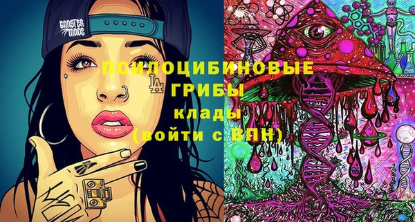 jwh Пересвет
