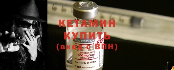 индика Весьегонск