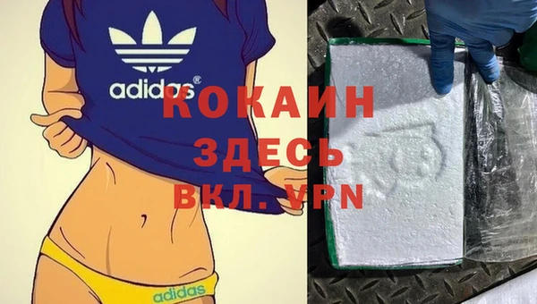 амф Пестово